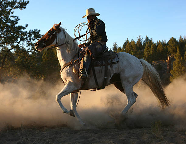 istock Cowboys and wranglers series 3 173036460
