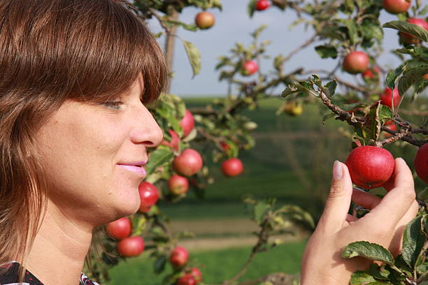 plucking an apple