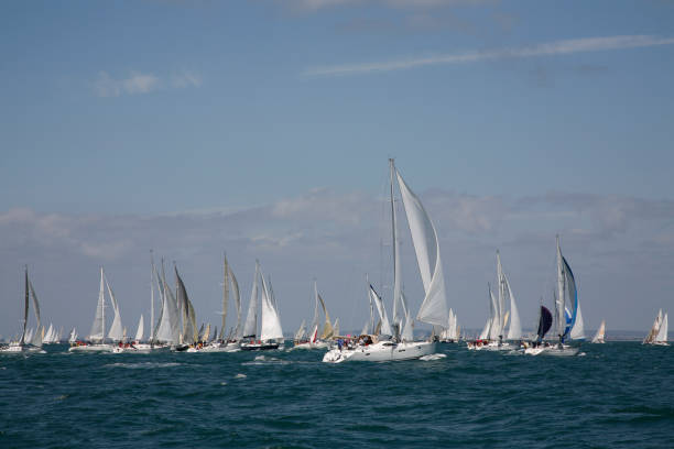 istock Sea of sails 173036805