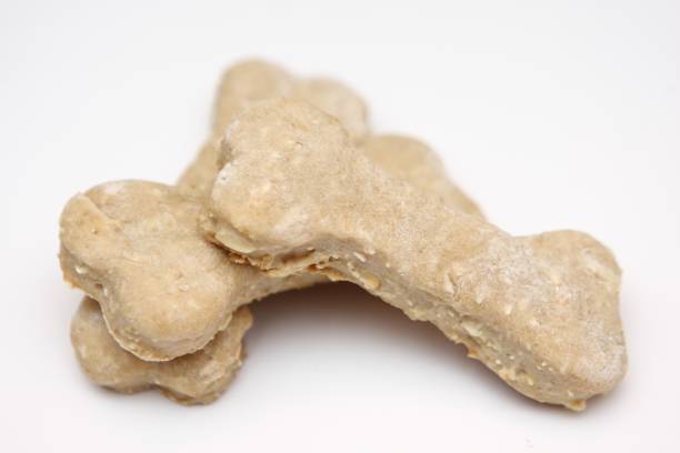 istock Homemade Dog Treats 173037462