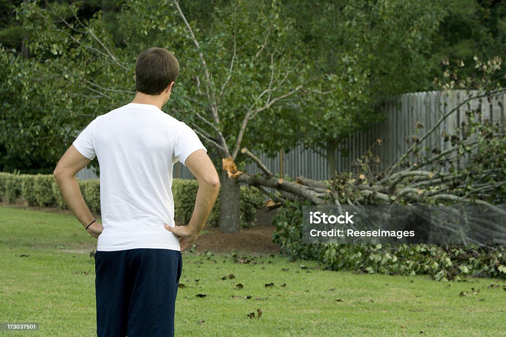 Storm Damage after a Hurricane Man upset to see storm damage in his yard. Tree Stock Photo