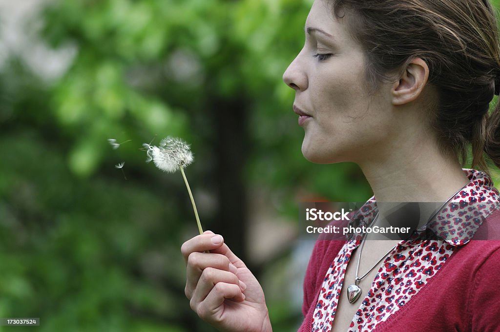Fleur de pissenlit souhaits - Photo de Femmes libre de droits