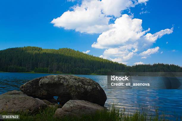Schönen Sommer Morgen Auf Natur See Stockfoto und mehr Bilder von Amerikanische Rotkiefer - Amerikanische Rotkiefer, Bildhintergrund, Boundary Waters Canoe Area