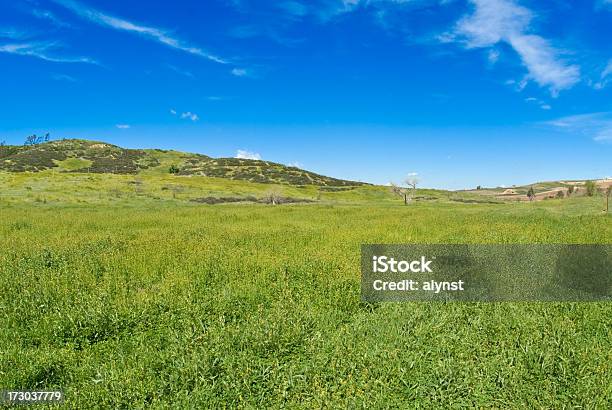 Foto de Campo E Céu Com Espaço Para Texto e mais fotos de stock de Azul - Azul, Campo, Colina