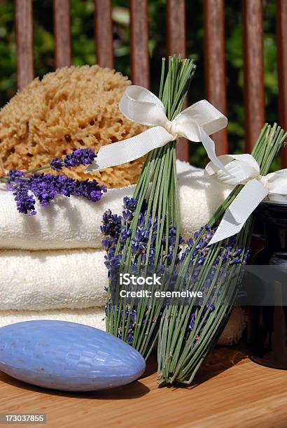 Foto de Lavanda Fusocoeur De Lavende e mais fotos de stock de Bilro - Bilro, Cor de Lavanda, Lavanda - Planta