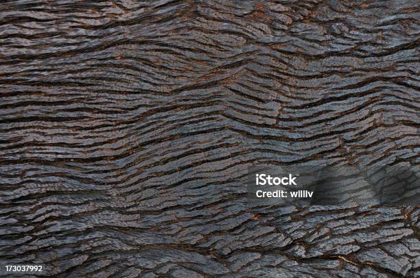 Texture In Legno - Fotografie stock e altre immagini di Albero - Albero, Asse del parquet, Ceppaia