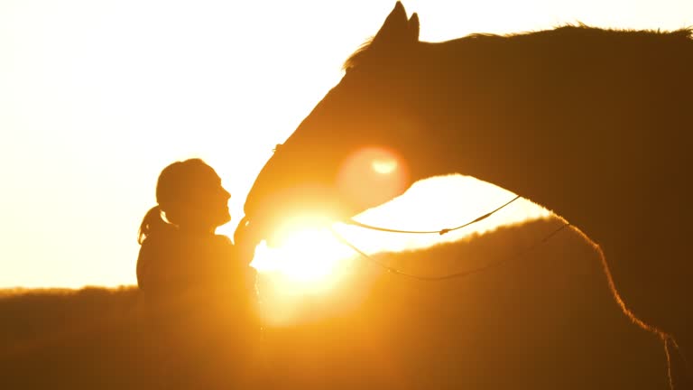 SILHOUETTE, LENS FLARE: Bonding moment between a lady and her horse at sunrise