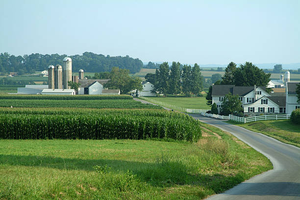 Farm Land 1 stock photo