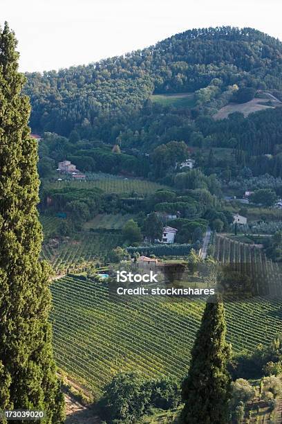 Foto de Montepulciano Vinhedo e mais fotos de stock de Agricultura - Agricultura, Amarelo, Celeiro