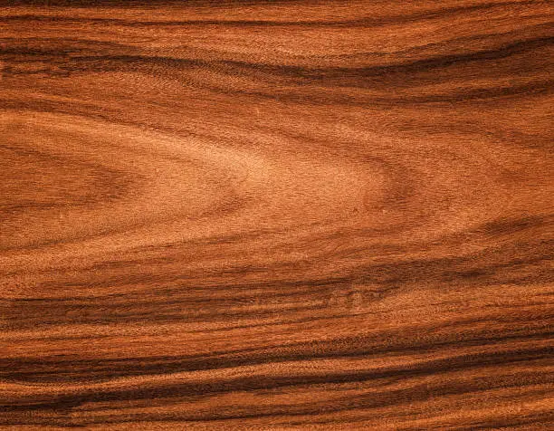 High resolution image of natural unstained rosewood with very slight vignette lighting. Rosewood is a rare and beautiful product often used for musical instruments, especially guitars.