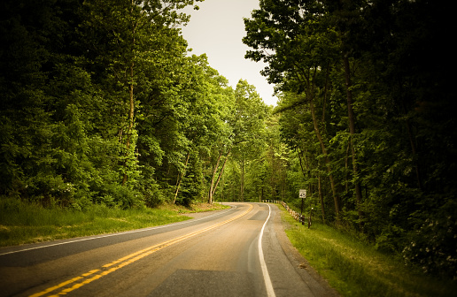 Winding country road through lush forest