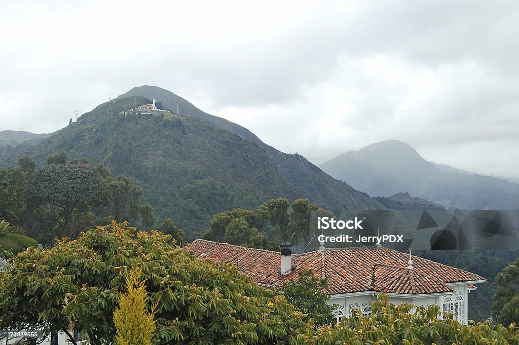 Guadalupe e Monserrate - Foto stock royalty-free di Albero