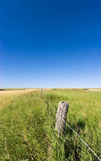 istock Barbed Wire Fence and Blue Sky 173039891