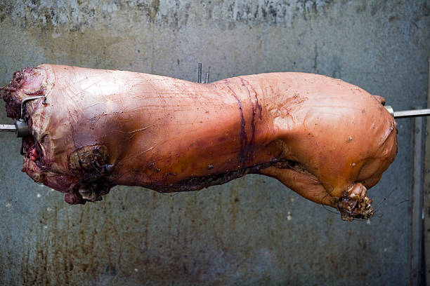am spieß gebratene schweinefleisch - spit roasted roasted roast pork domestic pig stock-fotos und bilder