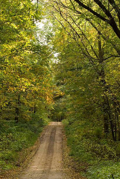 istock Wisconsin Dirt road 173040289