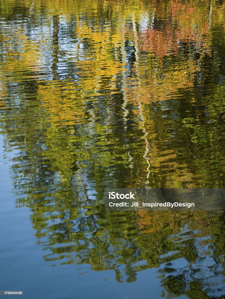 Feuilles d'automne reflète dans le lac - Photo de Arbre libre de droits