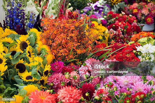 Foto de Lindas Flores Frescas Em Um Mercado Ao Ar Livre e mais fotos de stock de Loja de Flores - Loja de Flores, Abundância, Amarelo