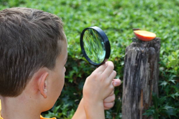 istock Little Scientist - boy is looking through a magnifying glass 173041793