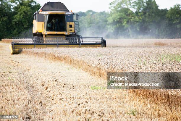 Harvester Stockfoto und mehr Bilder von Agrarbetrieb - Agrarbetrieb, Arbeiten, Automatisiert