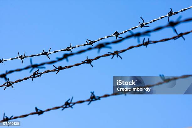 Alambre De Espino Foto de stock y más banco de imágenes de Acorralado - Acorralado, Afilado, Alambre