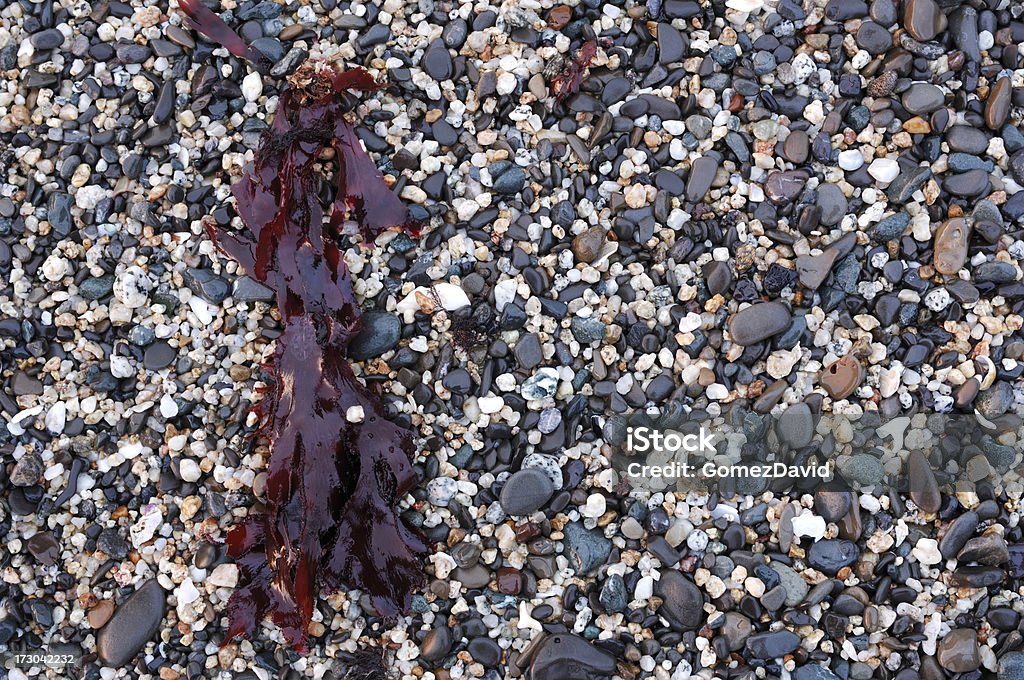 Coastal Strand Hintergrund - Lizenzfrei Ansicht aus erhöhter Perspektive Stock-Foto