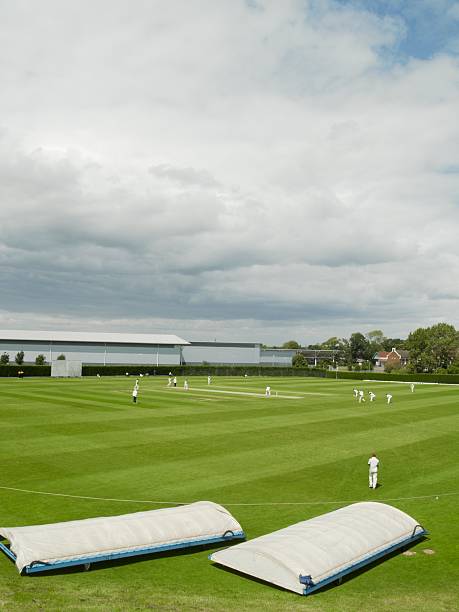 grilo fósforo e cobre em nuvens de tempestade - sport of cricket cricket player fielder sport imagens e fotografias de stock