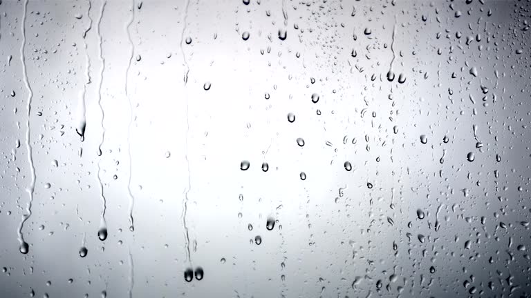 Descarga videos de stock de Lluvia gratis en 4K y HD 21637 clips Descarga videos de stock de Lluvia gratis en 4K y HD 21637 clips
