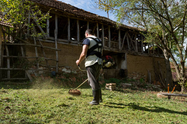 istock Autumn's Tidings: Farmer Tending to the Backyard 1730469349