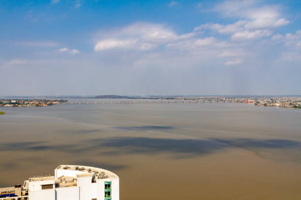 istock Guayas River in Guayaquil 1730497317