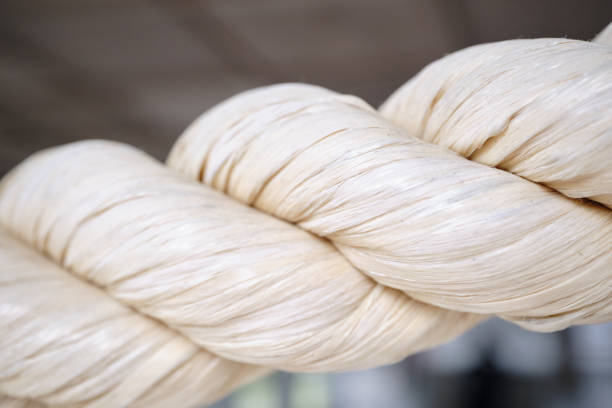 istock Close-up of beautiful shimenawa 1730497337