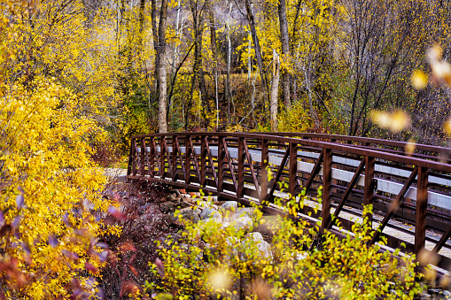 Scenic Steel Bridge Over Creek Along Nature Trail - Autmn fall colors and bridge over mountain creek.