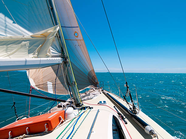 istock Sailing the Whitsunday Islands 173056039