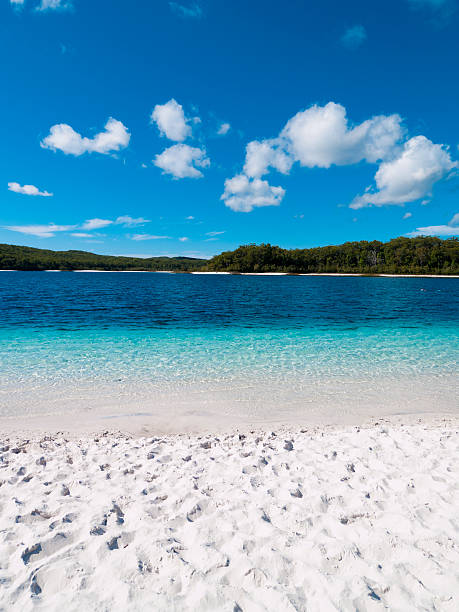 190+ Lac Mckenzie Photos, taleaux et images libre de droits iStock