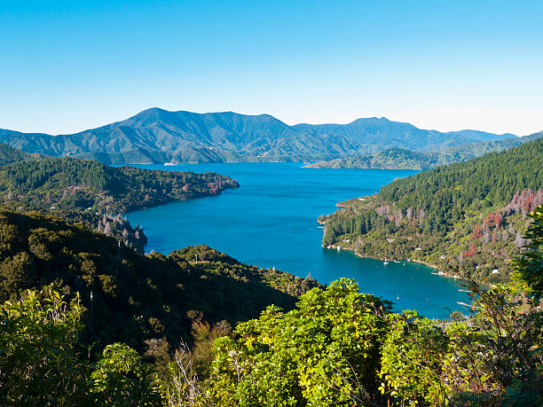 ヤドリギ湾 - queen charlotte sound ストックフォトと画像