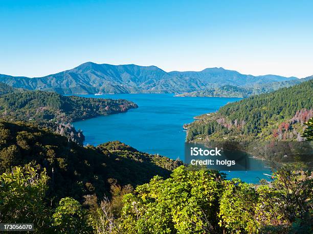 Jemioła Bay - zdjęcia stockowe i więcej obrazów Nowa Zelandia - Nowa Zelandia, Marlborough - Nowa Zelandia, Zatoka