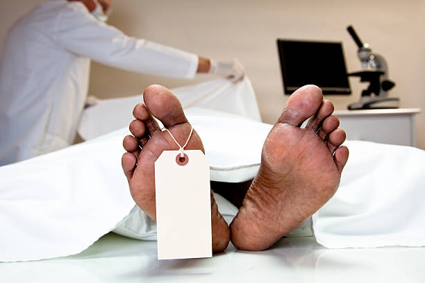 Mortician, coroner covering dead body in morgue. Feet, toe tag. Mortician, medical examiner covering dead body in morgue morgue stock pictures, royalty-free photos & images