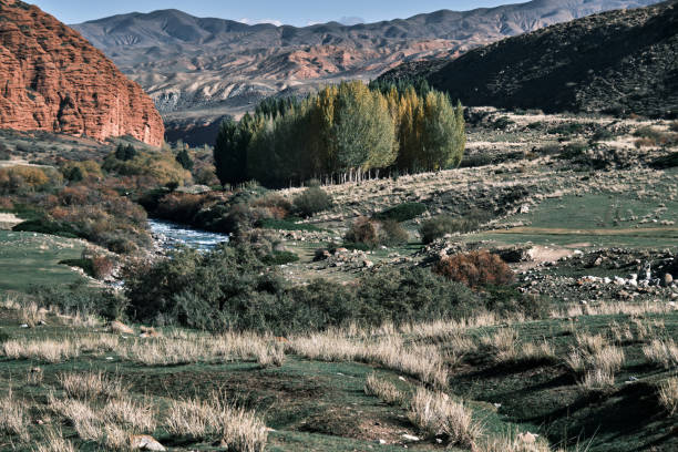 istock Riverbed in autumn mountain valley 1730601888