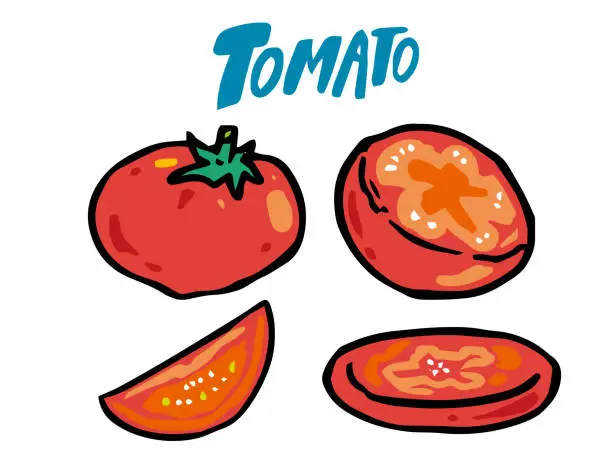 Vector illustration of All kinds of tomatoes and cut tomatoes