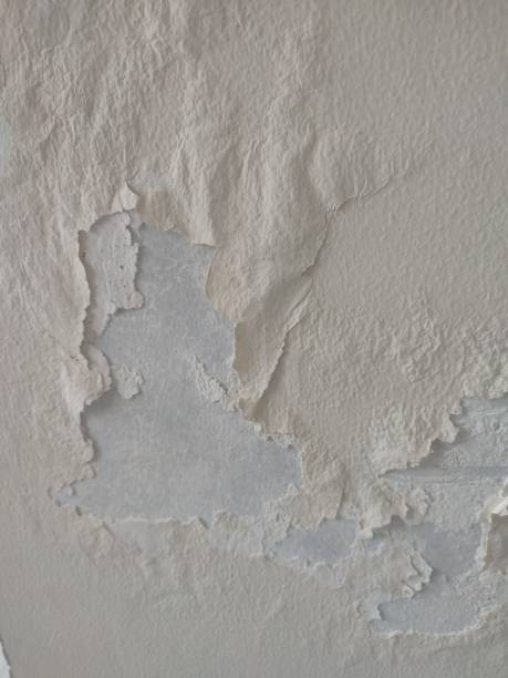 istock Moisture and mildew wall plaster filler 1730608541