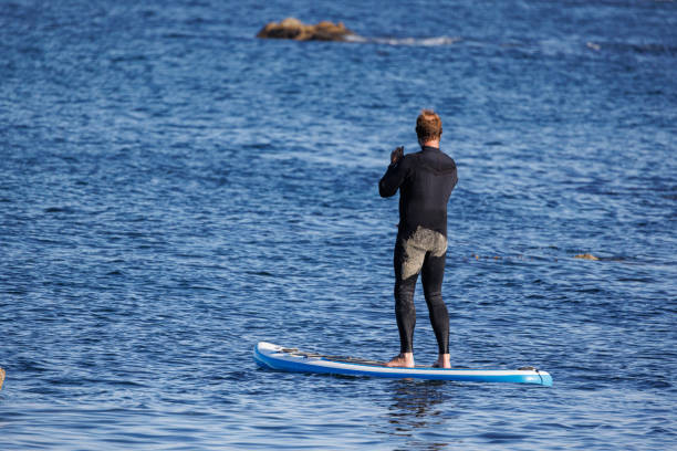 istock Paddle Boarding in Monterey California 1730637238