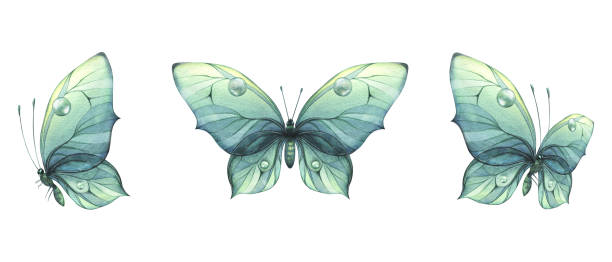 istock A blue, turquoise butterflies with a beautiful pattern on its wings, flying. Watercolor illustration hand drawn. Set of isolated objects on a white background. 1730648040