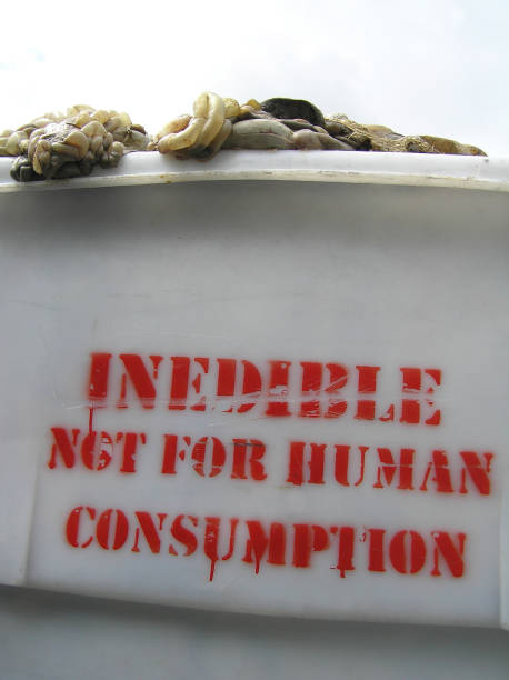 don't eat this Raw offal waits its turn at a rendering plant for processing offal into meat meal, which is used for the pet food industry. dont eat meat stock pictures, royalty-free photos & images
