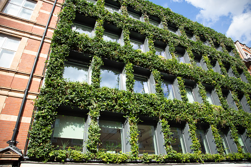 Natural Living wall and glass windows of an office building in London, England in the United Kingdom