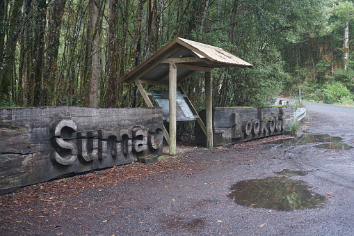 Carved wooden Sumac Lookout sign on a rainy day on the tourist drive Tarkine Drive, Tarkine, West Coast, Tasmania, Australia