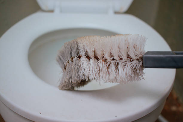 istock toilet brush close up 1730778581