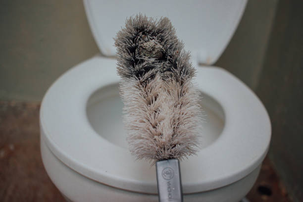 istock toilet brush close up 1730779973