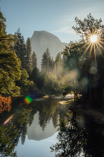 Beautiful scenic shot of a mountain and Forrest with a reflection from the water in Yosemite National Park