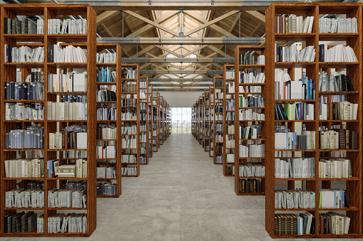 Library Interior With Books On Wooden Bookshelves