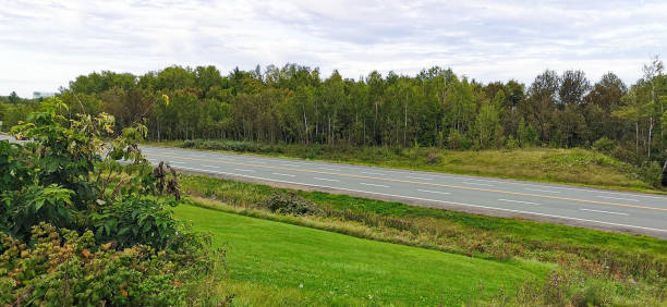 green grass and trees side of the road