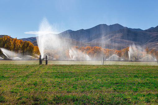 Wetting a meadow in autumn in the Idaho rural area